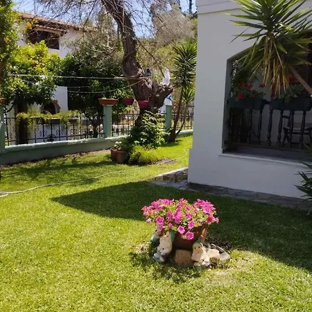 Dimitris -villa 5 *